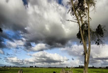 难逢弱旅轻取胜利，队员欣喜若狂，期待更高荣耀