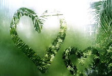 诺维奇城将再战米尔比尔，力争保持领先