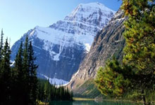 激情足球盛事大幕即将拉开，球员和球迷齐欢笑