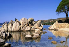 新科明星球员重伤，球队前路坎坷